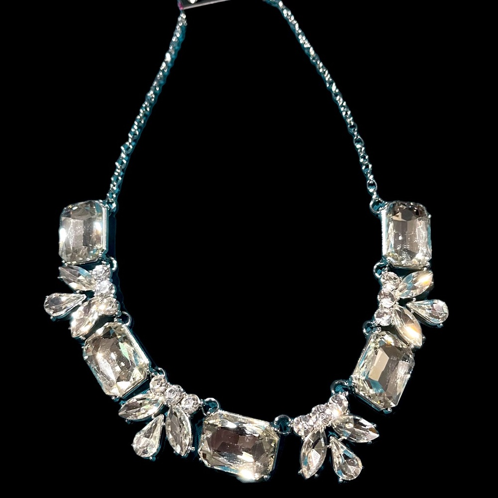 Beautiful Paparazzi necklace and earring set!